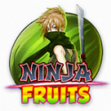 Ninja Fruits