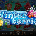 Winterberries